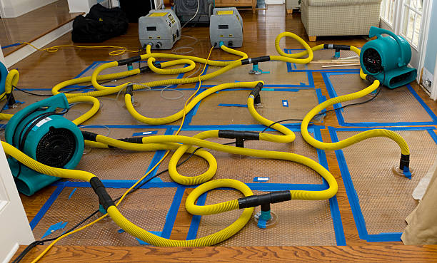 Professional Water Extraction technician working in Sand Lake, MI