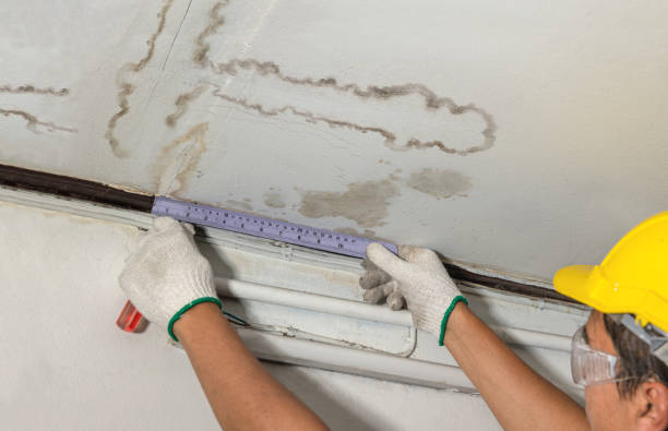 Affordable Water Damage Repair solutions in Sand Lake, MI